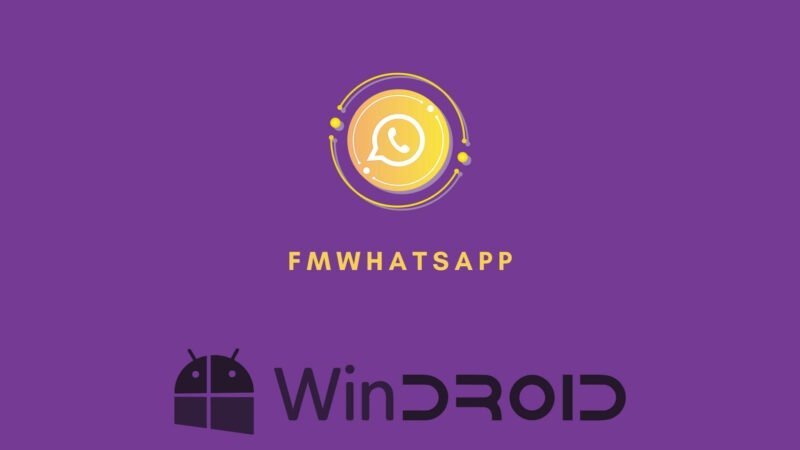 fm whatsapp mod